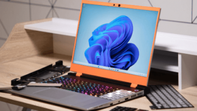 Framework Laptophollister Theverge