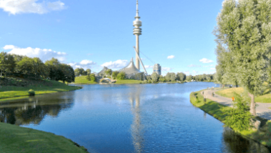 Genesis Bitlicense 8mschwartzfortune