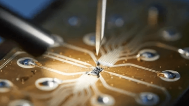 Countersuit Carta Jerry Ceo Wardvandermeybloomberg