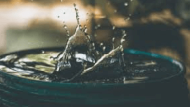 Nvidia Quantum Cloudlanhee