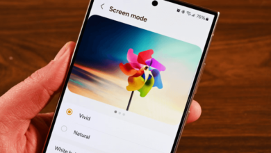 Galaxy S24 Vividnesssiddiqui