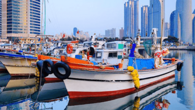 Korea Markets Actreynoldscoindesk Us Etfs Virtual