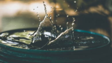 16M 1.2b Chinabradshaw