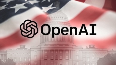 Partnerships Openai Anthropic Us Dhs Aikang
