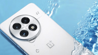 Oneplus China 24GB Ram 100wporter Theverge