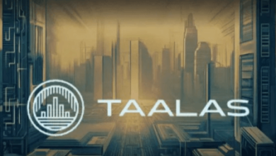 Chip 50M Pierre Quiet Capital Llm