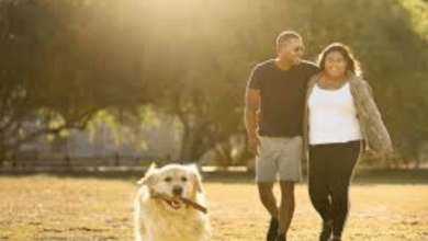 4049650561: The Mystery of 4049650561: A Deep Dive