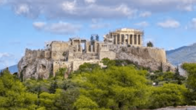 Acroslogin: How to Log in to Acros: a Step-By-Step Guide