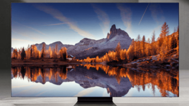 Bn6924830c: Understanding the Significance of Bn6924830c