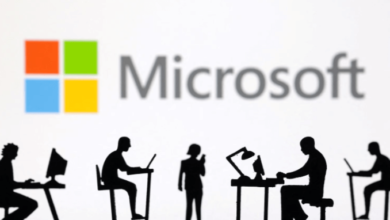 Source Microsoft Pradeep Sindhugardizy Theinformation