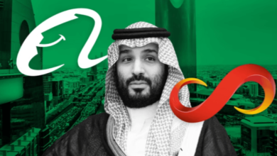 Sources Saudi Chinese Sensetimeolcott