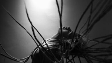 toll free number identity