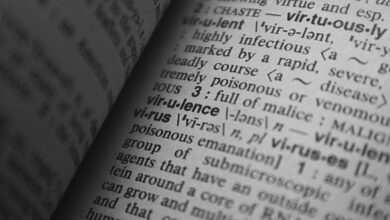 understanding iganory s meaning