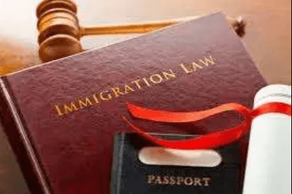 Championing New Beginnings with Immigration Law