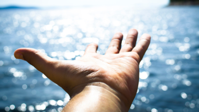 Someone Keeps Trying to Reach You: 9043807465