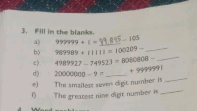 More Than Just Digits: 9085288998