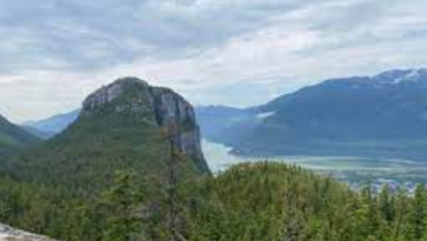 Another Trail to Follow: 4252952024