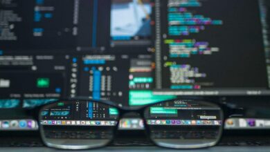 introducing bvostfus python software