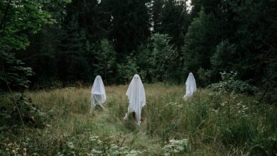 mystery name concealment revealed