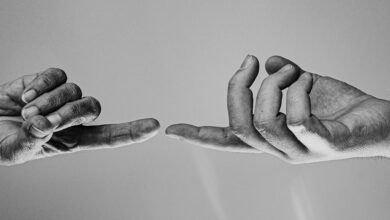 corporate support phone number