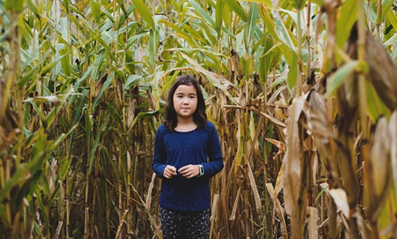 Corn Maze Tips for an Enjoyable Fall Experience