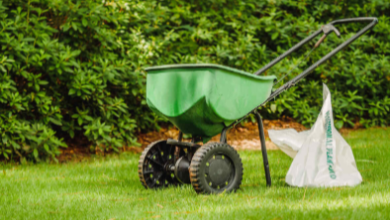 Grass Weed And Feed Guide For Effective Lawn Care