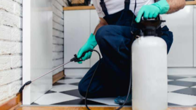 Best Pest Control Burnaby Services for Effective Home Protection