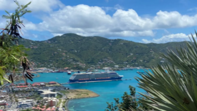 Open Company in British Virgin Islands Guide for 2025 Incorporation and Benefits