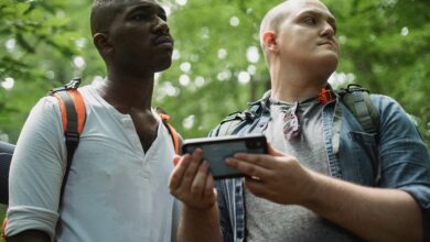 phone number information search