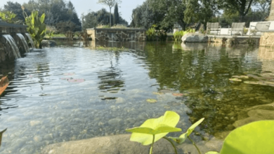 Swimming