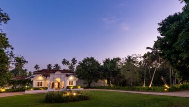 10 Reasons Why Negombo Should Be Your First Stop in Sri Lanka!