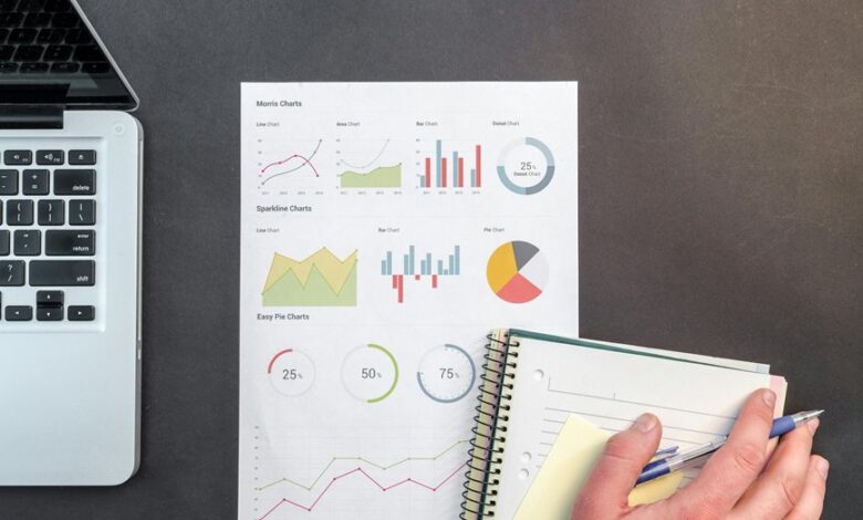 data analysis report summary