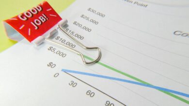 financial data overview summary