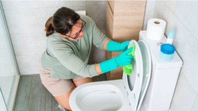 Saniflo Blocked or Noisy? A Homeowner's Guide to Macerator Maintenance