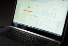 freusseporn s online activity summary