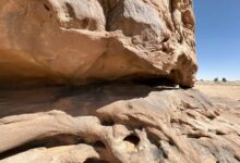 latest features of qilfozitowiz