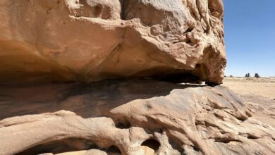 latest features of qilfozitowiz