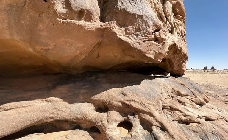 latest features of qilfozitowiz