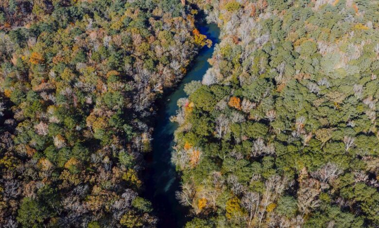 native lawsuit updates overview