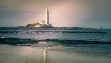 photoaconpan usage and overview