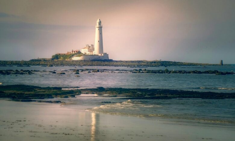 photoaconpan usage and overview