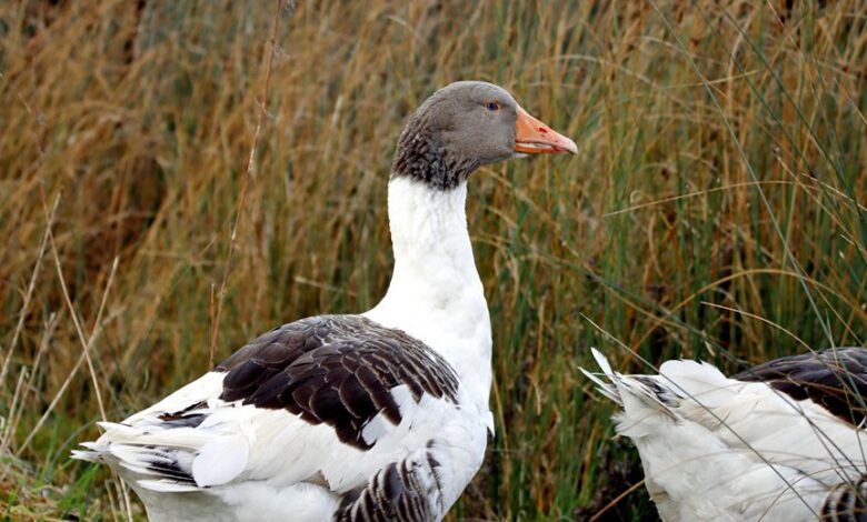 vittenthill49 profile updates available