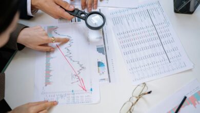 assessment report for ids