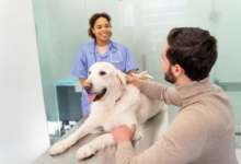 Pet Radiology: Helping Pets Get the Right Diagnosis with Care and Clarity