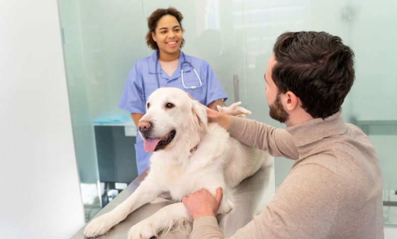 Pet Radiology: Helping Pets Get the Right Diagnosis with Care and Clarity