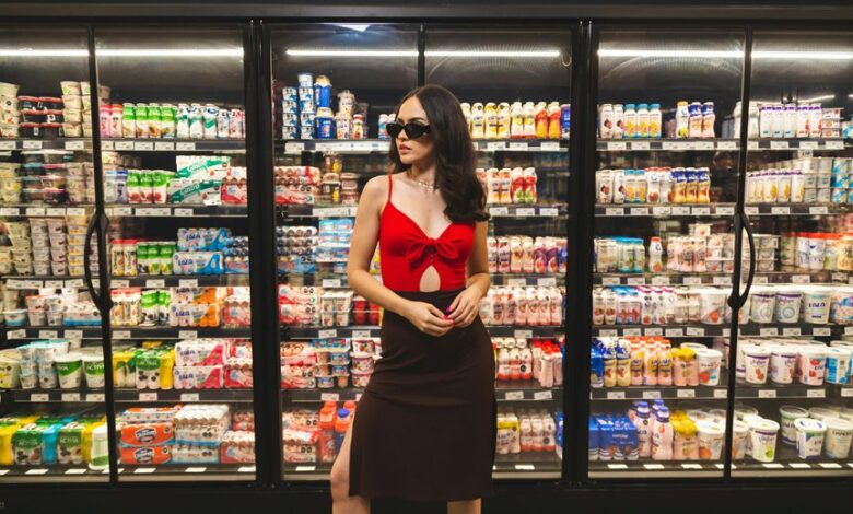 frigidaire freezer manual