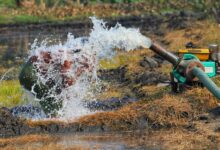 graco manual 3 lx slimfit