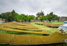 graco manual installation guide