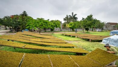 graco manual installation guide