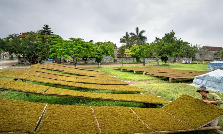 graco manual installation guide